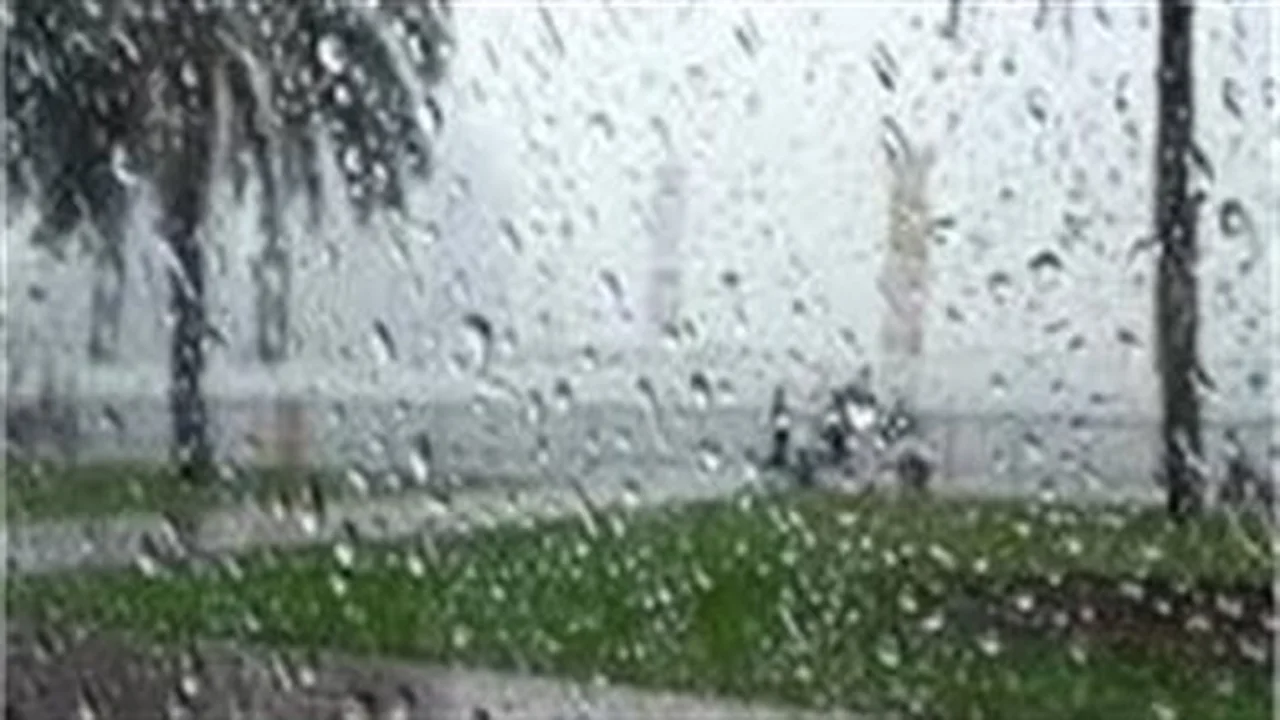 الأرصاد تعلن تفاصيل حالة الطقس المتوقعة في جميع المحافظات خلال الغد